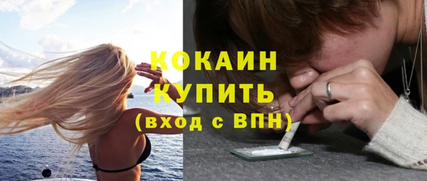 дмт Верея