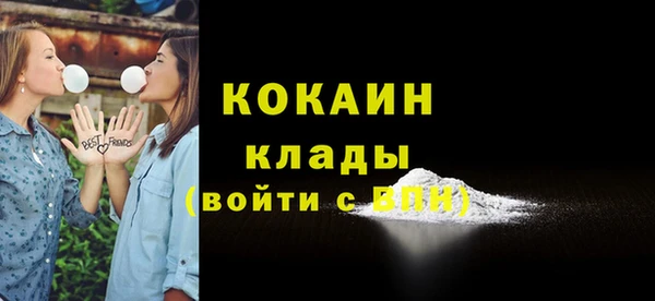 дмт Верея