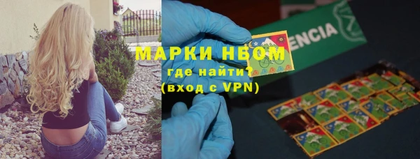 дмт Верея