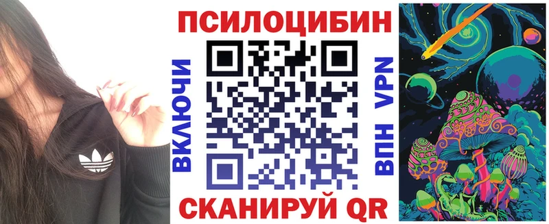 Галлюциногенные грибы Magic Shrooms  хочу наркоту  Железногорск 